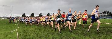 Weekend Preview:  NI & Ulster Senior XC Championships and more…